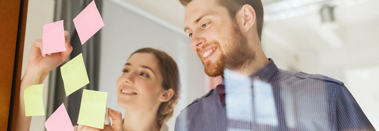 Jobs und Karriere / Ausbildung